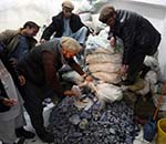EU Urges Afghan Govt to Take Action against Illegal Mining